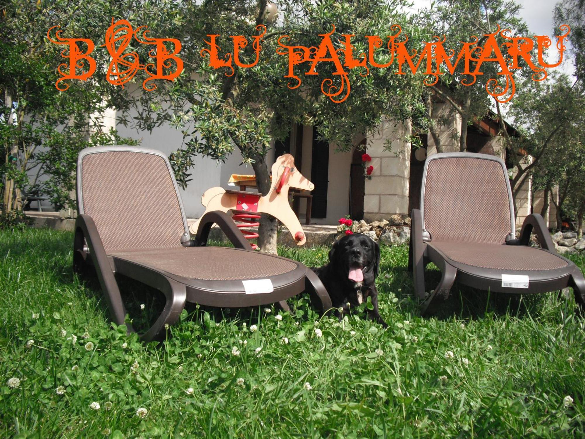 B&B Lu Palummaru Palmariggi Экстерьер фото